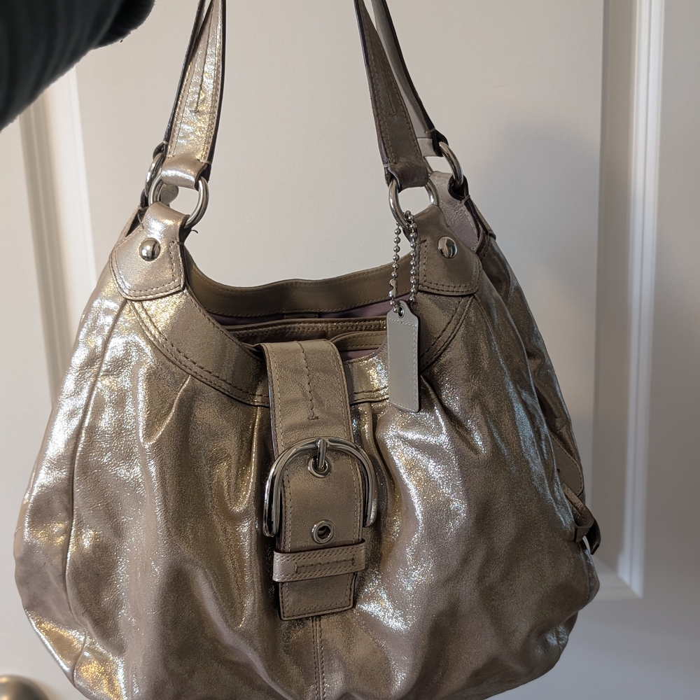 Metallic Shoulder Bag